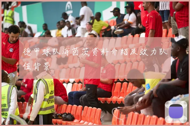 德甲球队海茵茨资料介绍及效力队伍背景
