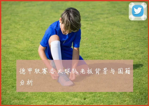 德甲联赛各大球队老板背景与国籍分析