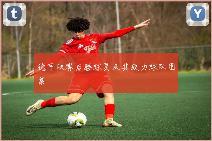 德甲联赛后腰球员及其效力球队图集