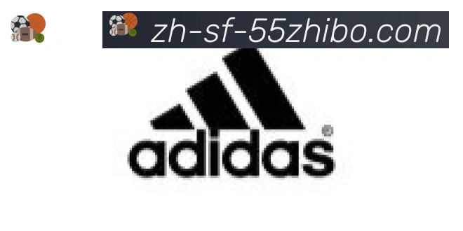 55直播合作伙伴